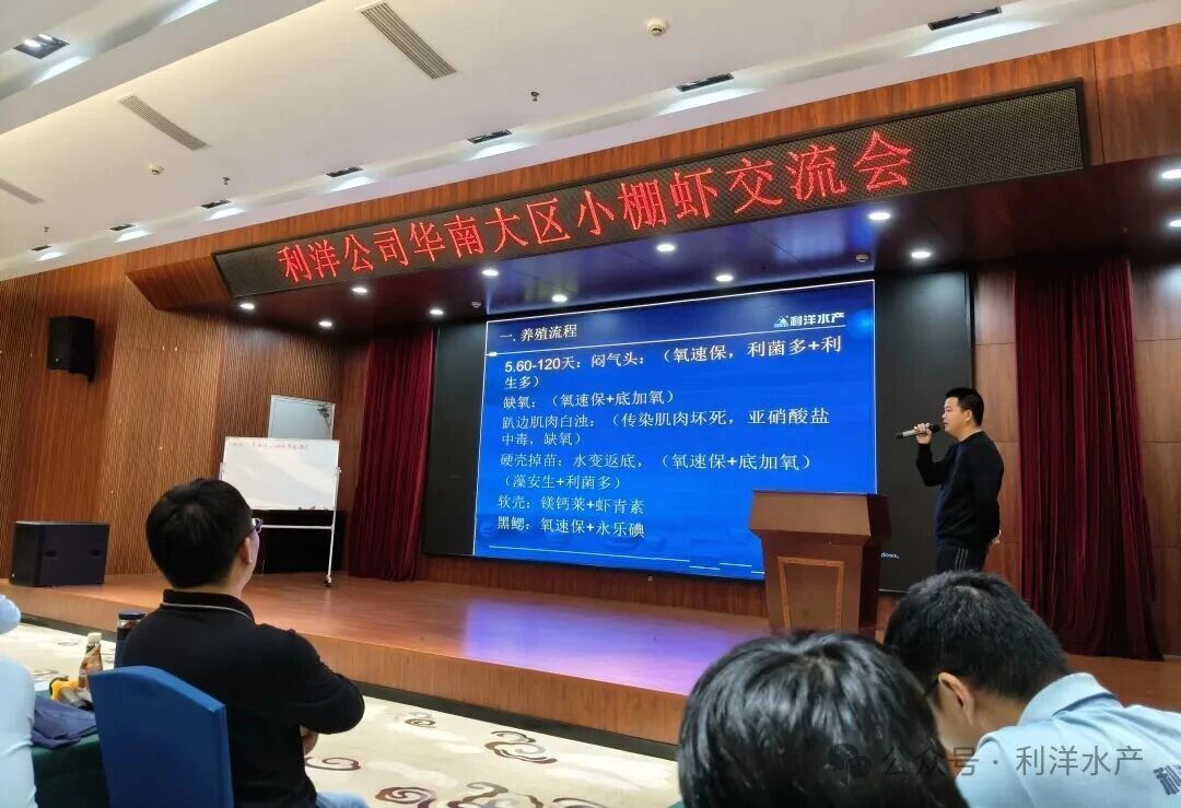 1764232387846619.jpg 17.jpg